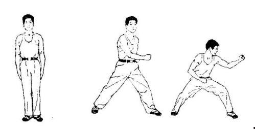 军体拳教学视频,实战技巧与动作要领深度剖析