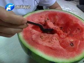 OVA 感染 吃瓜,揭秘病毒传播与吃瓜者的命运