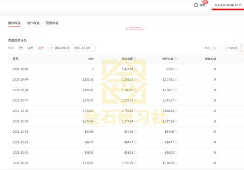 中视频伙伴计划,开启内容创作者新纪元