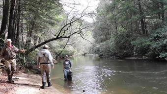 邓刚钓鱼视频,视频中的渔猎智慧