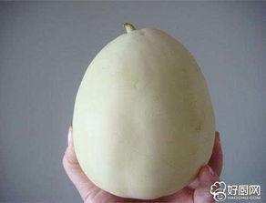 白兰瓜孕妇可以吃吗,孕妇适宜食用的健康水果