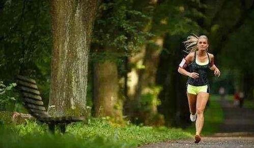 成人跑步模拟场景视频,揭秘成人跑步模拟场景的精彩瞬间